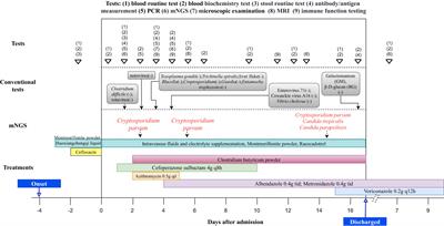 Cryptosporidiosis diagnosed using metagenomic next-generation sequencing in a healthy child admitted to pediatric intensive care unit: a case report